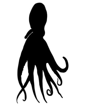 Octopus Silhouette