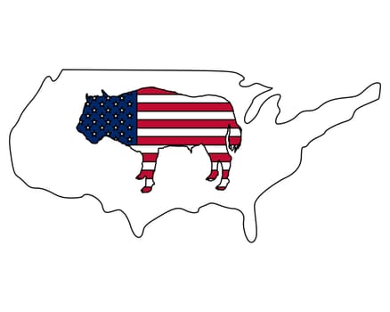 Buffalo