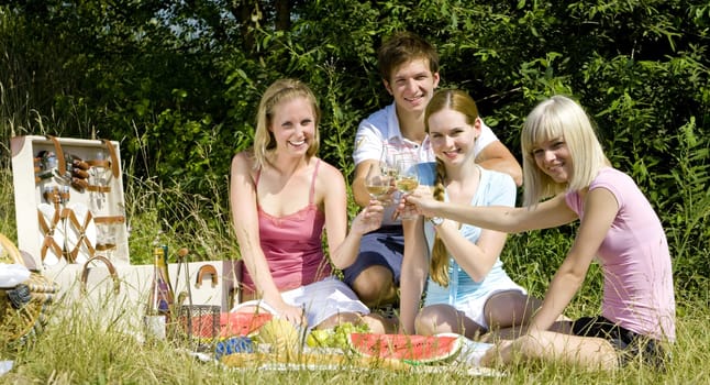 friends at a picnic