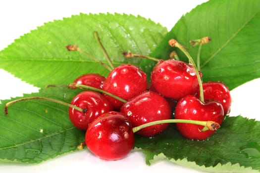 Fresh cherries and leaves against white background