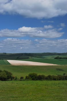 view of sussex downs with blue sky