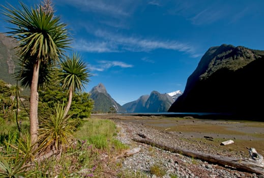 Mitre Peak at Milford Sound