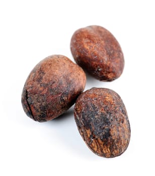 Raw unprocessed shea nuts isolated on white background