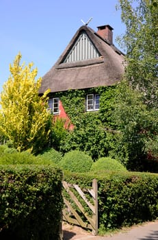 Thatched roof house