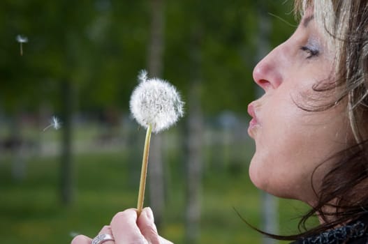 Head portrait of a mature woman with dandelion on the side