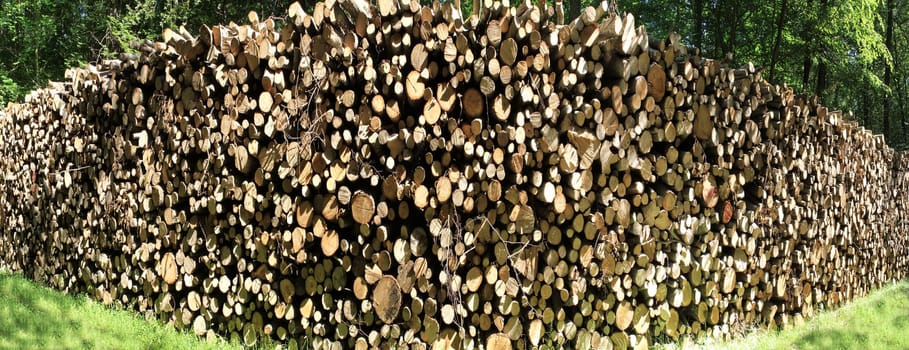 arranged in cords of wood logs for heating