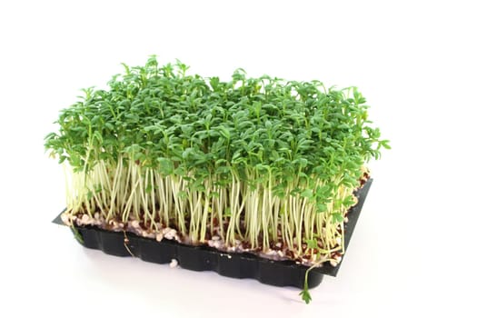 a bowl of cress in front of a white background
