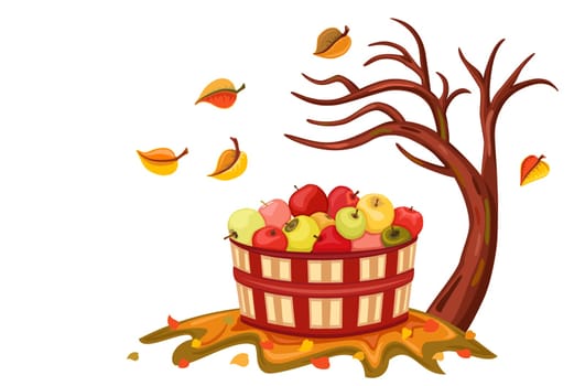 Beauty of autumn with apple harvest in a wicker basket. Isolated over white background.
