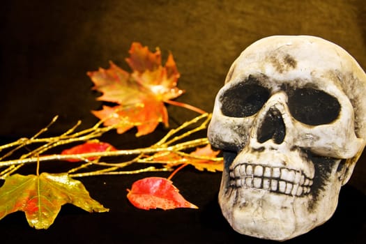 Celebrating Halloween with scary human skull and dead leaves.
