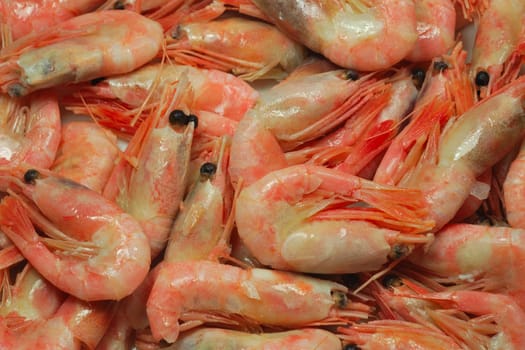 group of cooked prawns