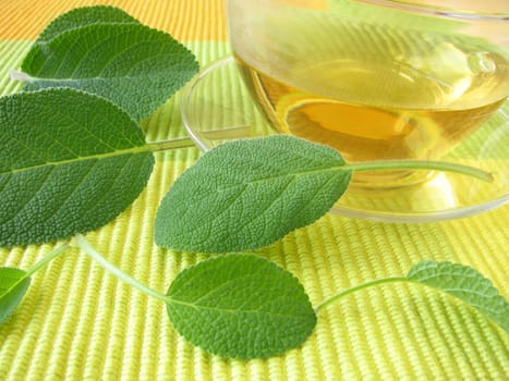 Sage tea