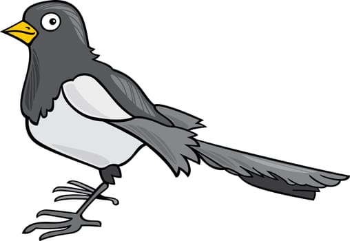 cartoon illustration of magpie bird