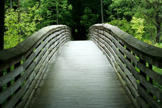 a Wooden bridge through the forest