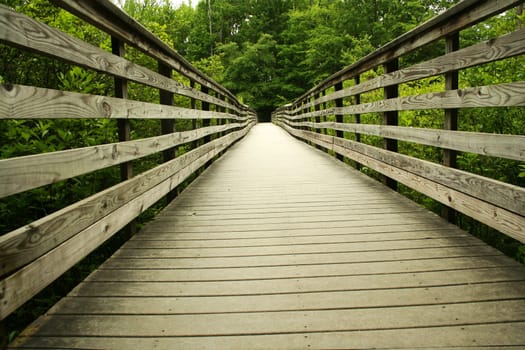 a Wooden bridge through the forest