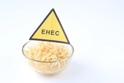 Warning about EHEC bacteria in sprouts