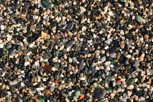 Closeup on wet gravel along the seashore. Small peaces of smooth colored glass are visible too.