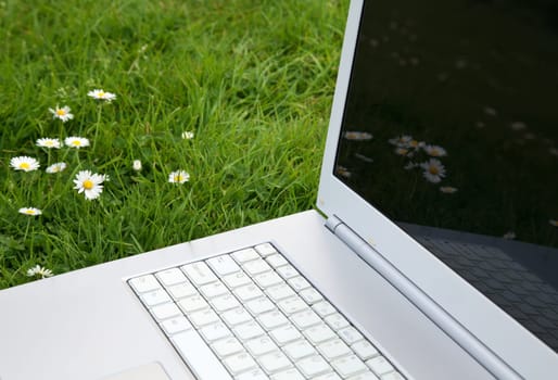 New white laptop in park