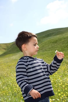 Male child holding a daisy in the grass