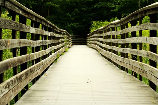 a Wooden bridge through the forest