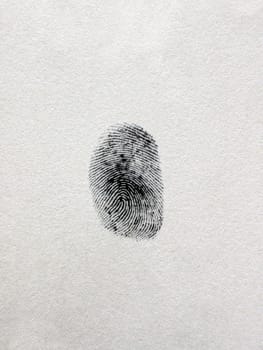A fingerprint on a white paper sheet