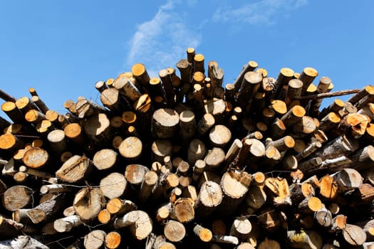big woodpile and blue sky in spring