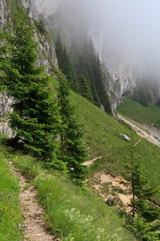 a marked trail to a mountain slope