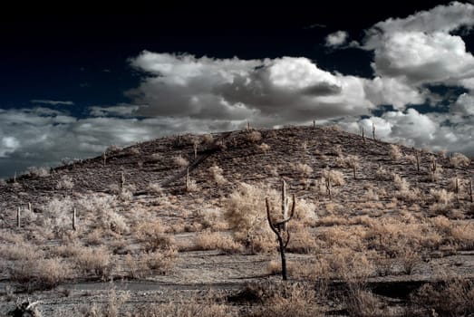 Desert storm over the southwestern desert and mountains