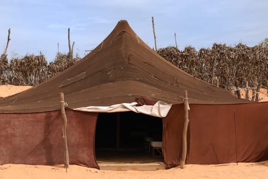 Bedouin camp in the sahara desert