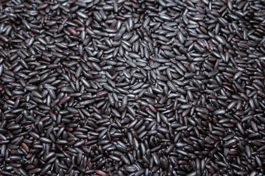 Close up background view of organic black purple rice.