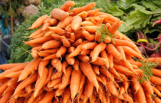 Many bright, deep colored orange carrots are displayed for sale at an outdoors Farmers Market.