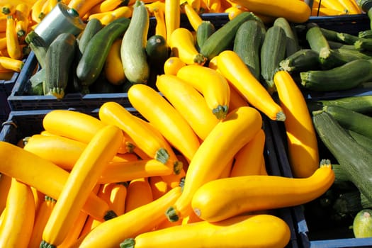 Many yellow and green squash for sale at an outside farm fresh market.