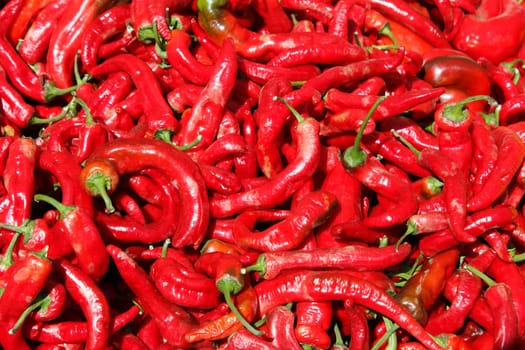 Background of long hot red peppers with green stems outside in the day light.