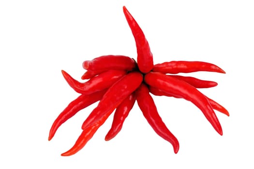 Bunch of red chilli peppers isolated on white