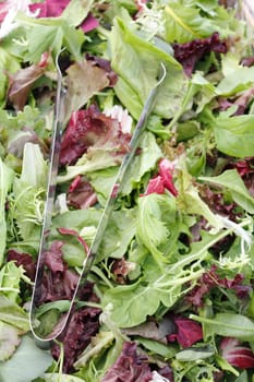 A bin of fresh mesclun salad mix for sale at an outdoor market.