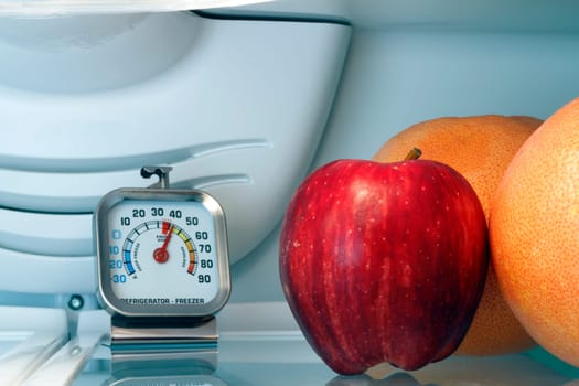 Thermometer inside on top shelf of cool food storage.