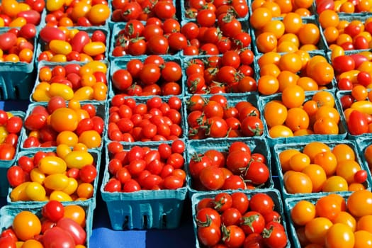 Many pints of small orange and red tomatoes in pint containers for sale at an outdoor market.