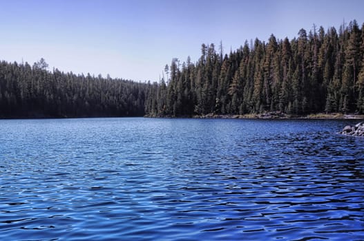 Forest lake in the remote Arizona mountains