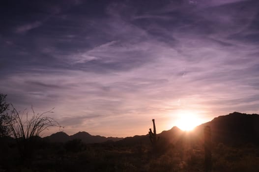 Cool sunrise in the central Arizona desert