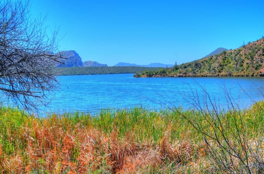 Autumn at saguaro lake in Arizona