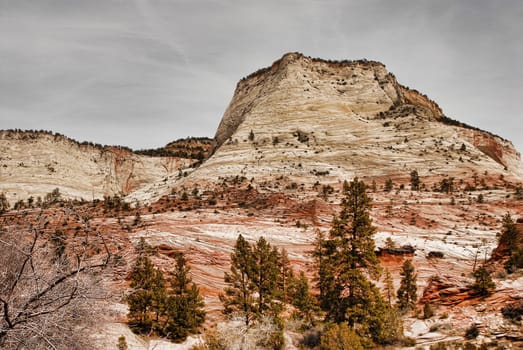 Zion national park in southern Utah USA