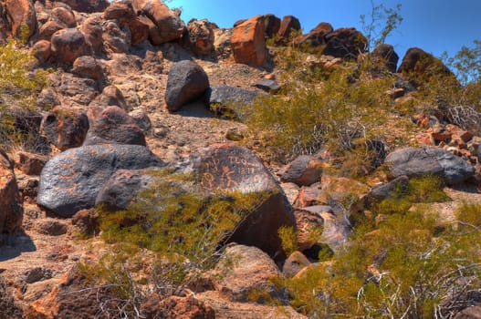 Ancient Arizona Petroglyphs