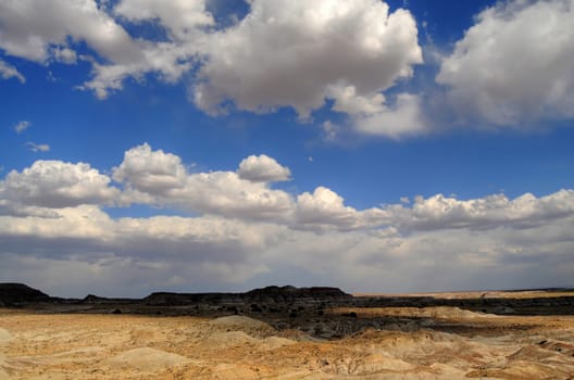 Scenic landscape of the ancient petrified forest