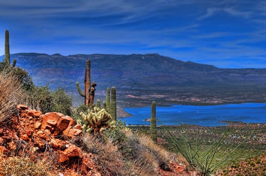 Roosevelt Lake in central Arizona with saguaro cacti