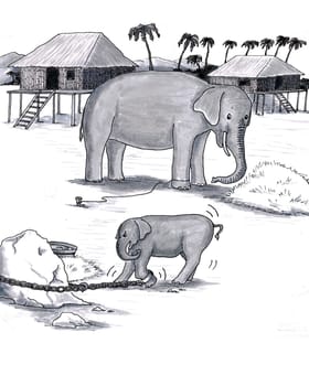 Older and younger pachyderm  baby attached to heavy chain, adult trained to stay with just rope.