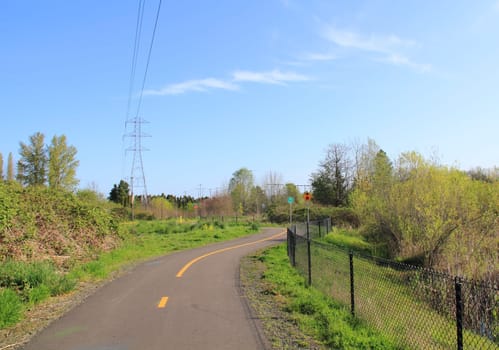 A bike route and walking path made of black asphalt is seen close up in a wooded setting that is part of power line park in Beaverton, Oregon.
