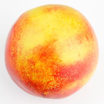 Square photo of one organic nectarine on a white background.
