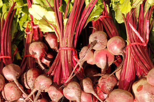 Many red beets with green tops in the sun at an outdoor farmers market.