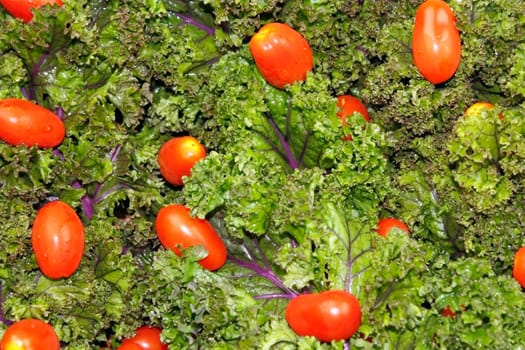 Close up of red purple green kale topped and small cherry tomatoes.