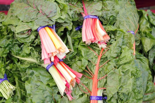 Bundles of swiss chard in red, orange, yellow, white, green stalks on display at a market.