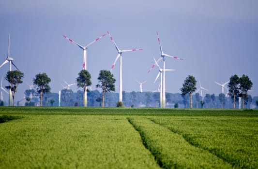 crop fields with wind power stations in the background